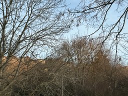 296-21-01-2026 IMG_3532